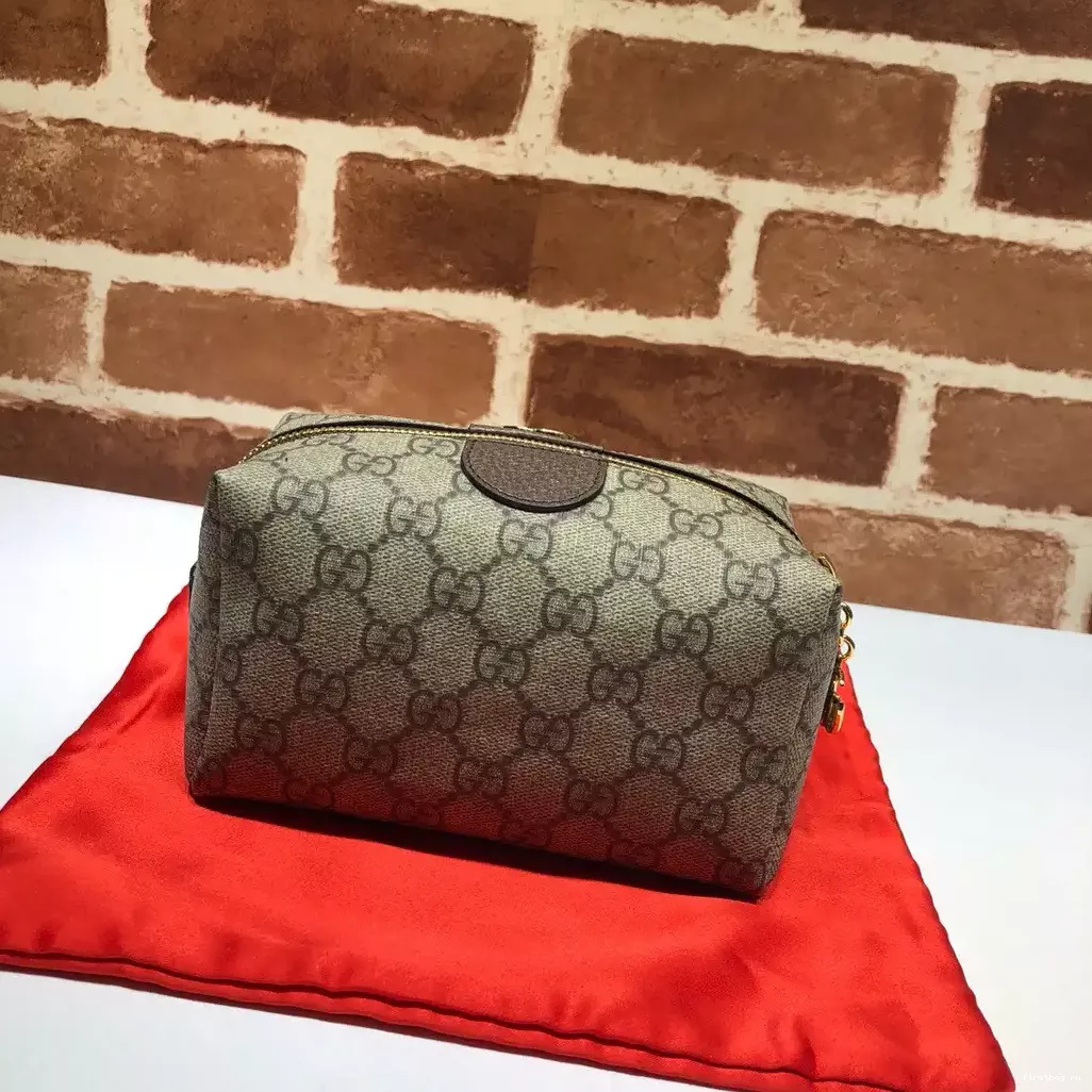 First bag ru GUCCI cosmetic GG case Ophidia 0207