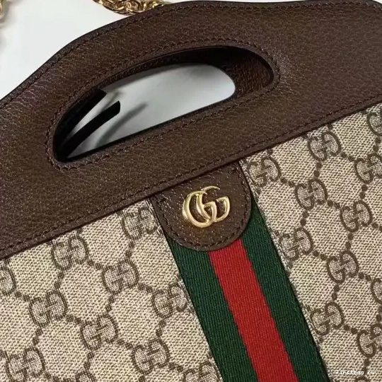 Firstbag ru Ophidia Web GUCCI with small tote 0216