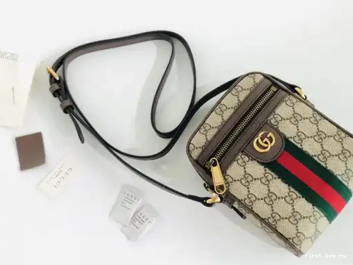 First bag ru GG Ophidia bag small GUCCI shoulder 0226