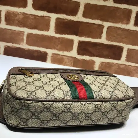 First bag ru belt Ophidia bag GG GUCCI 0316