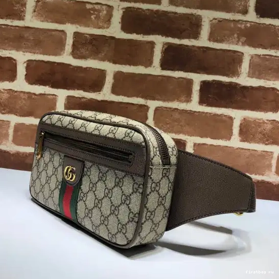 First bag ru belt Ophidia bag GG GUCCI 0316