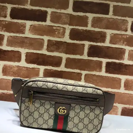 First bag ru belt Ophidia bag GG GUCCI 0316