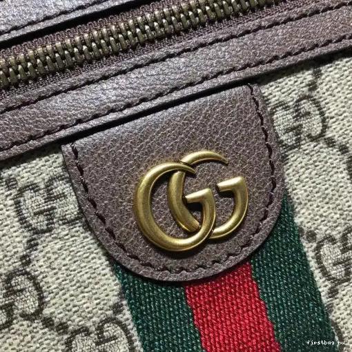 First bag ru belt Ophidia bag GG GUCCI 0316